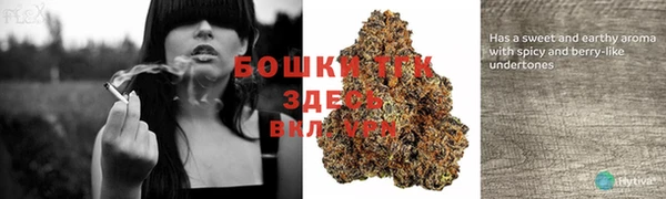 прущий лед Михайловка