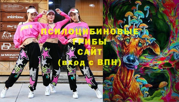 не бодяженный Белокуриха